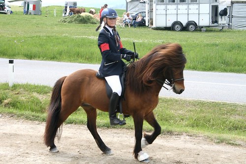 Andorf 2008 | by I love Icelandic horses