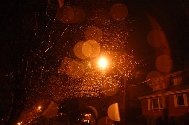A view through the wet branches up at the street lamp in Yonkers, NY