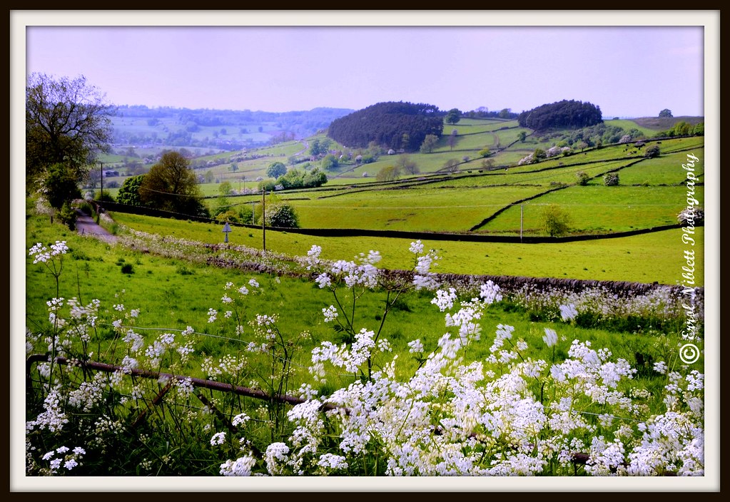 Spring Landscape 1 Derbyshire Peak District (DSC_1886)[Framed] by Tripod 01