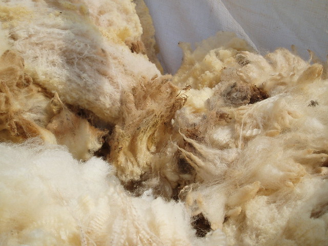 Sack of Wool
