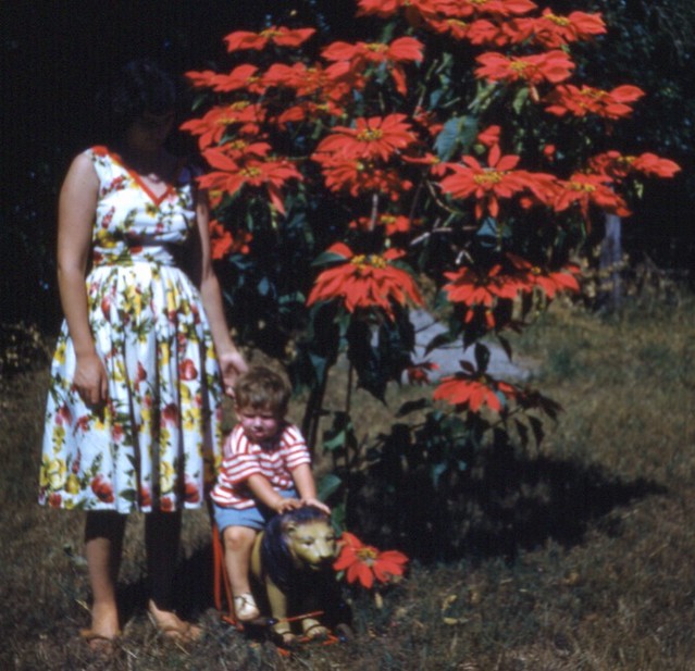 Mum, me, Simba - Kenya, 1962