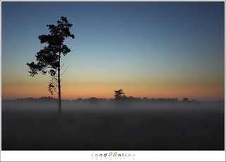 Misty morning twilight (1D012891)