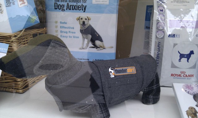 Calming jacket for a dog?!