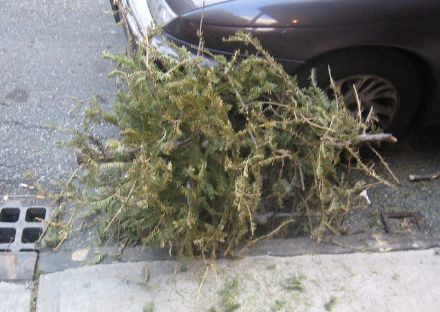 Pathetic Tree Pathetic Christmas Tree | Seriously. March? Why would you ke… | Flickr