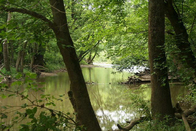 Darby Creek
