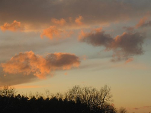 IMG_0375 by Sousveillance, 