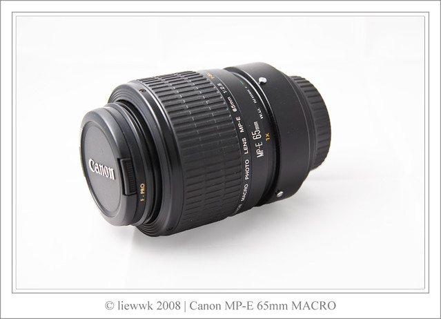 CANON MP-E 65mm F2.8 1-5:1 MACRO