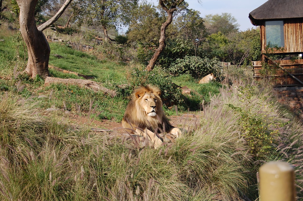 Pretoria Zoo