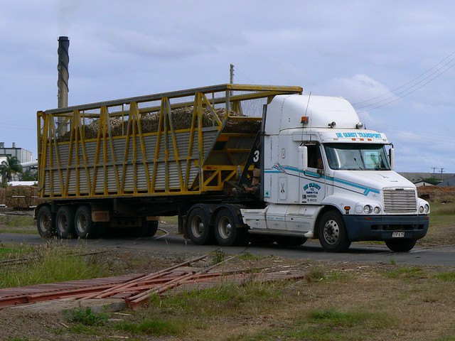 Cane truck