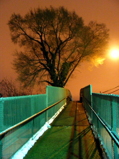 one tree bridge