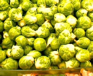 Sprouts | by jkahn