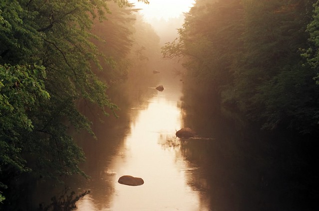 Foggy Morning At The River...