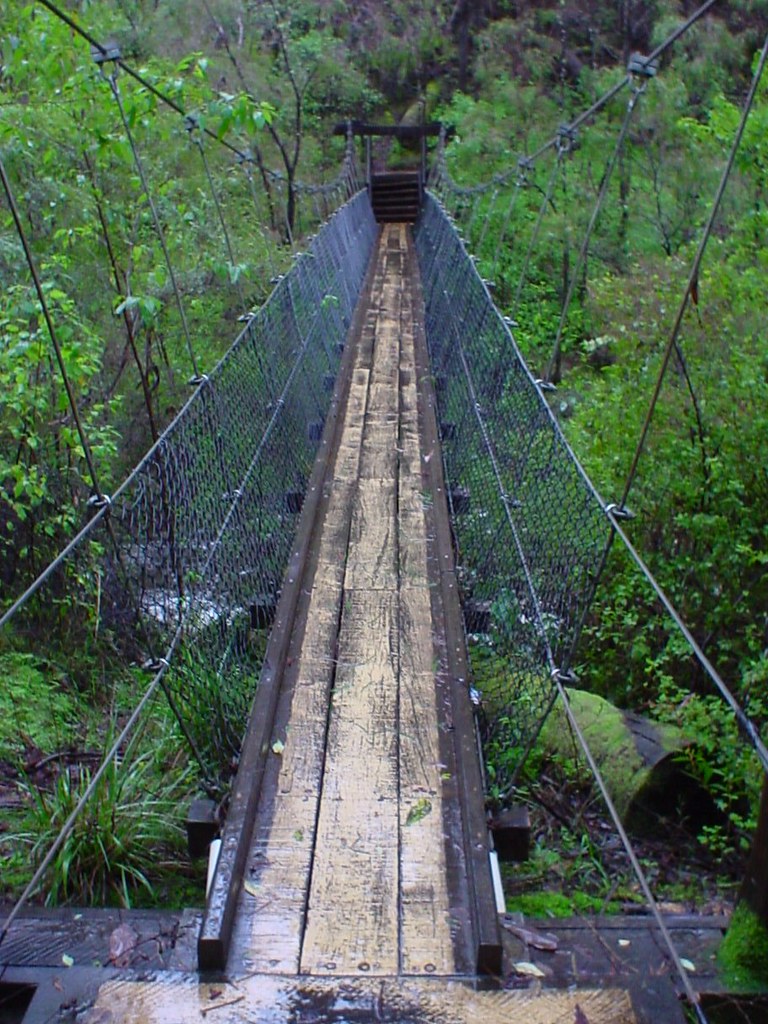 Suspension Bridge in the Karri Valley