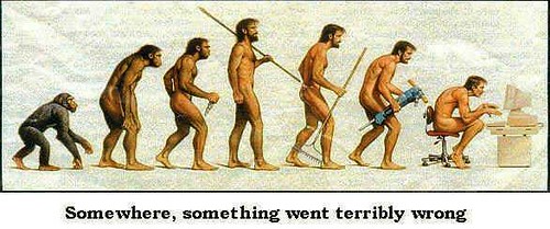 Evolution | by ryanwoon