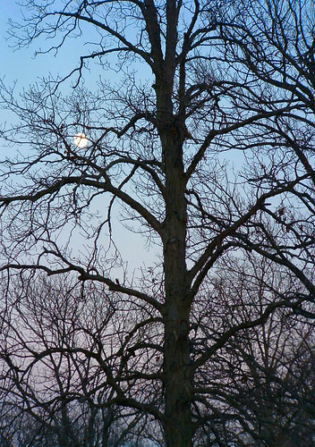 orangecounty orleans indiana luna moon november13 2005 ilovenature