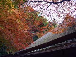 京都 嵐山 祇王寺