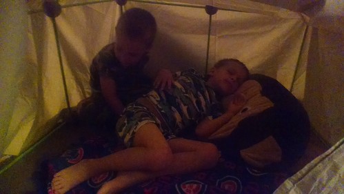 Fort we built | by EllenJo