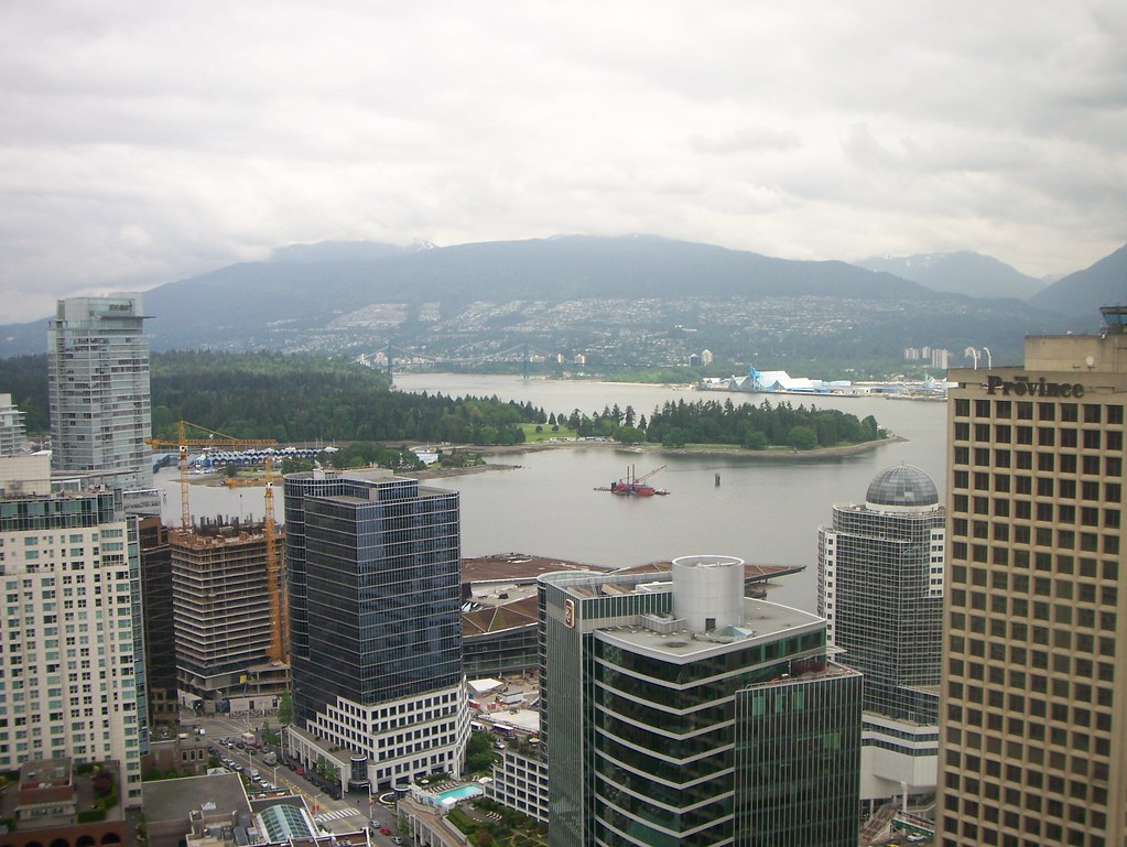 Lookout View