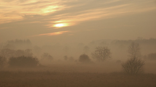 Hever to Leigh Trees in the mist near Penshurst just before sunset