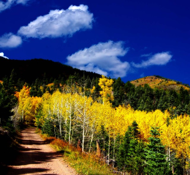 Colorado Sangre Foothills Fall Color