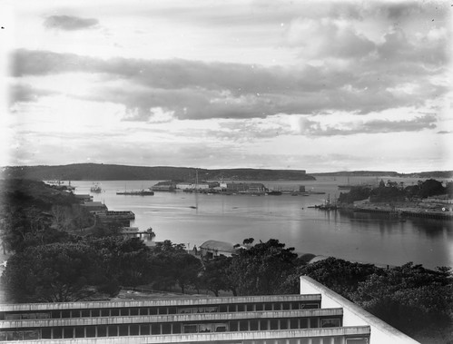 Sydney Harbour from the Domain | by Powerhouse Museum Collection