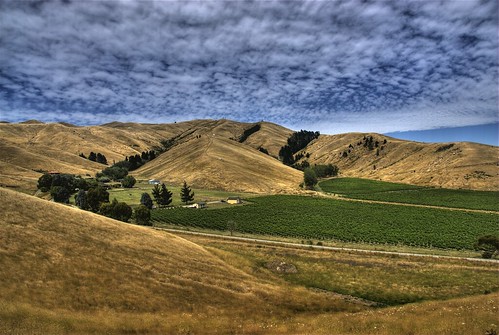 blue newzealand sky green clouds landscape vineyard vines wine hills nz grapes southisland blenheim marlborough hdr photomatix 200901