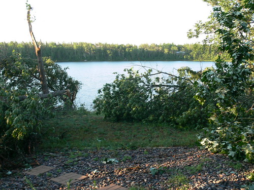 Yard lakeside by winniewms, Our new view from the screen porch