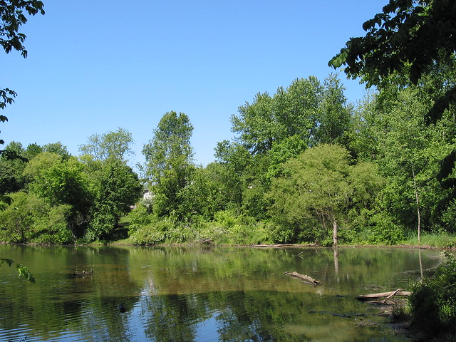 Gunner's Lake Park:  the marshy end of the lake