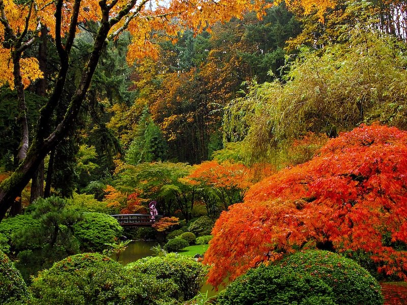 Japanese Garden by ScenicScapes