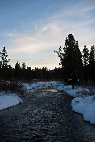 sunset snow montana deer idaho islandpark