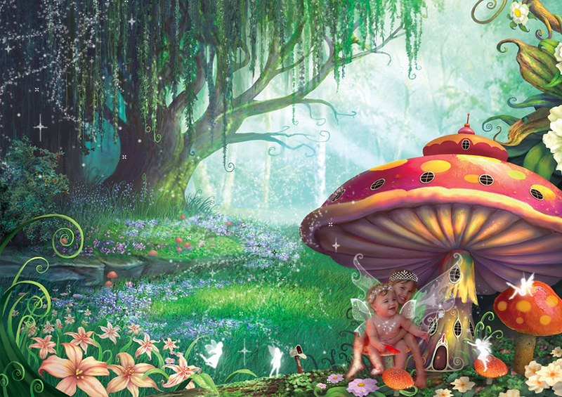 fairies and mushroom garden | background: /i… | Flickr