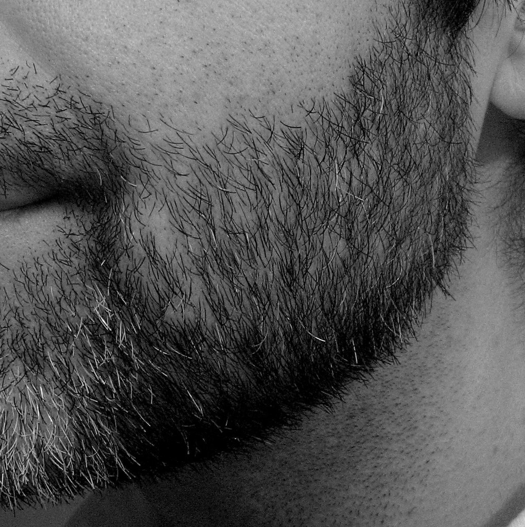 Day 23 - 1/Jul/2008 / Beard