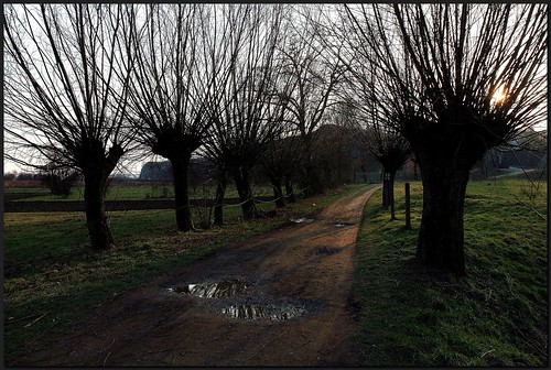The road.... by Dzwjedziak