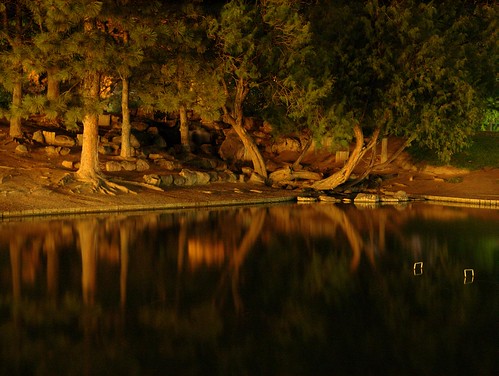 UNM Duck Pond at night