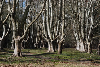 Autor/a: mherrero Foto