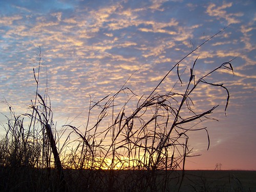 100_0152 by jarrard@swbell.net, Beautiful Sunrise this morning.  Drove out of my way to get it.  Missed the best part, but I thought