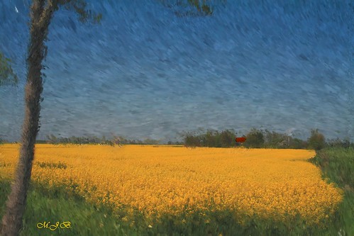 impressionism spring by jmb_germany