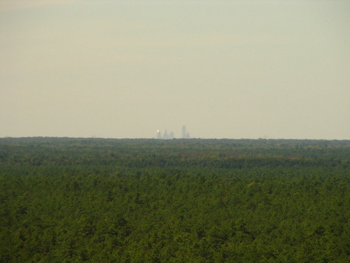 skyline newjersey pinebarrens whartonstateforest