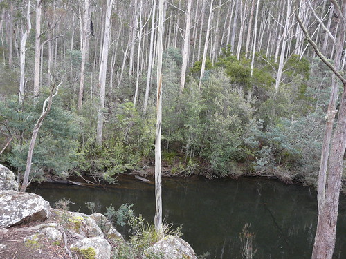 river nationalpark australia naturereserve tasmania freshwater mountfield somethingwild