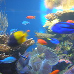 DSCN3033