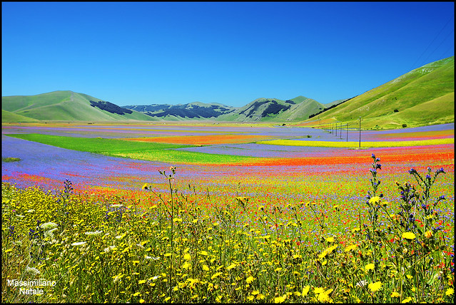 ...the colorful valley...