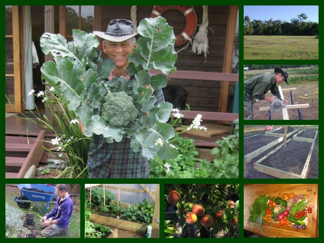our garden, healthy lifestyle