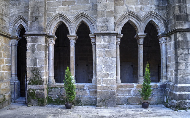 Claustro de la catedral vieja de Plasencia