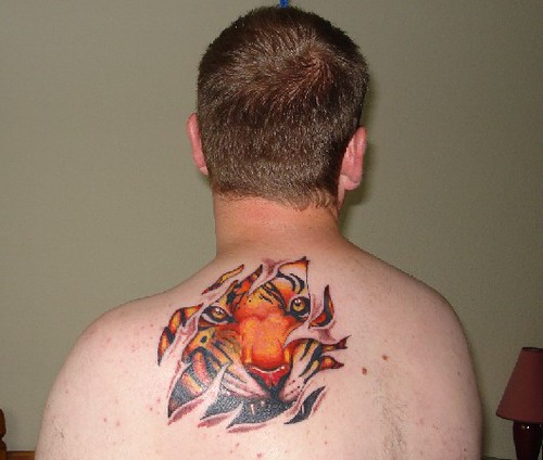 Tiger back tattoo | Paul | Flickr