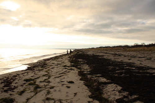 Strand Beach