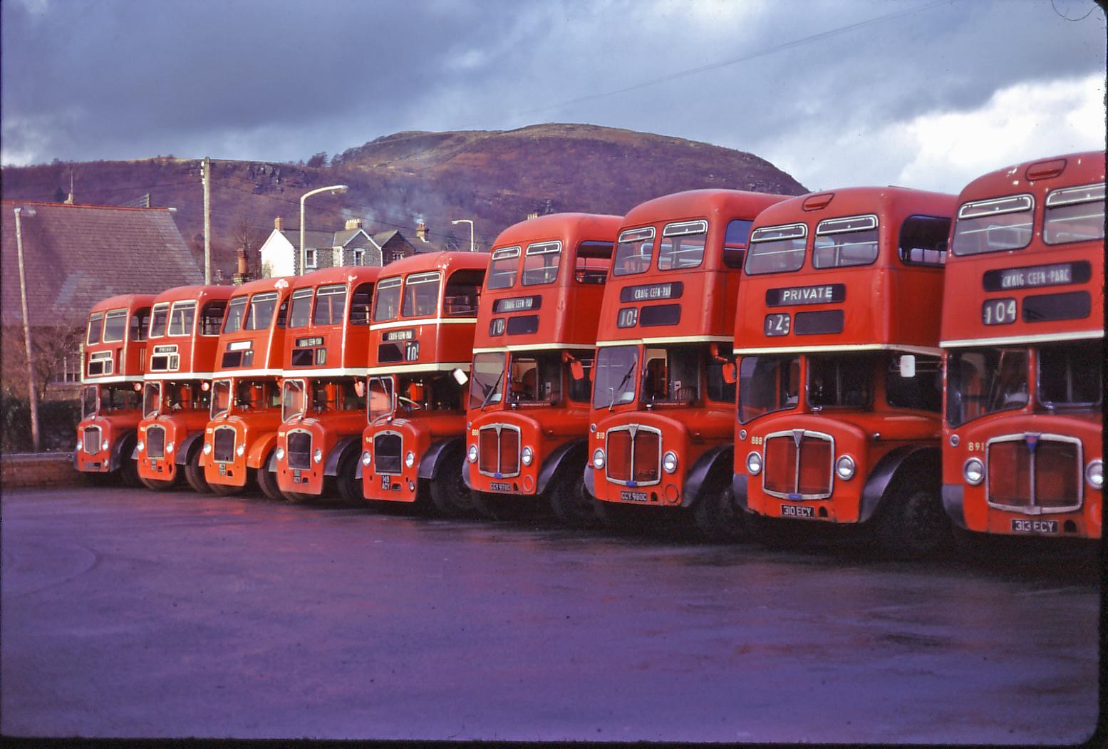 AEC BUSES | Flickr