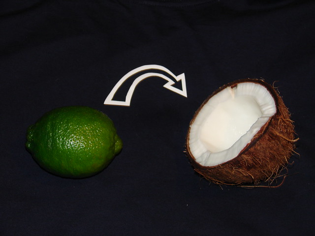 Dramatic Reenactment of the Lime in the Coconut Shirt