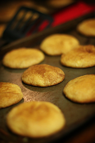 Easiest snickerdoodle recipe of all time by ginnerobot