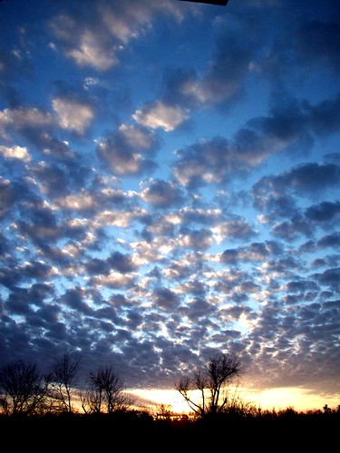 trees sunset sky clouds evening scenery springfieldmissouri theozarks nvpp rottladyhome