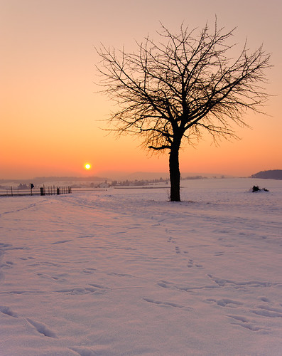 winter sunset sky orange sun snow cold tree silhouette germany deutschland nikon europe hessen bad trails explore gradient philipp hesse nauheim klinger wetterau tamron2875mmf28 supershot 11°c abigfave d700 dcdead saariysqualitypictures